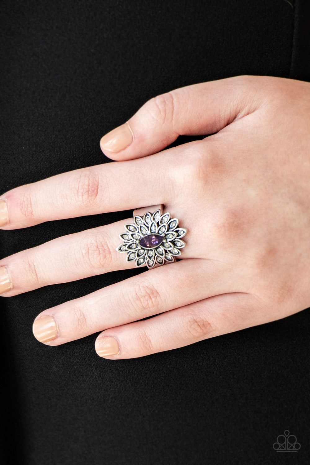 Blooming Fireworks - Purple Ring 0068