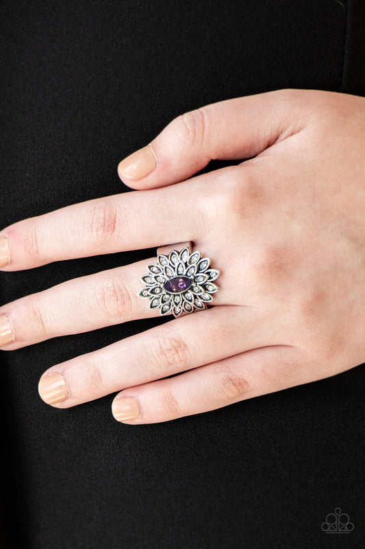 Blooming Fireworks - Purple Ring 0068