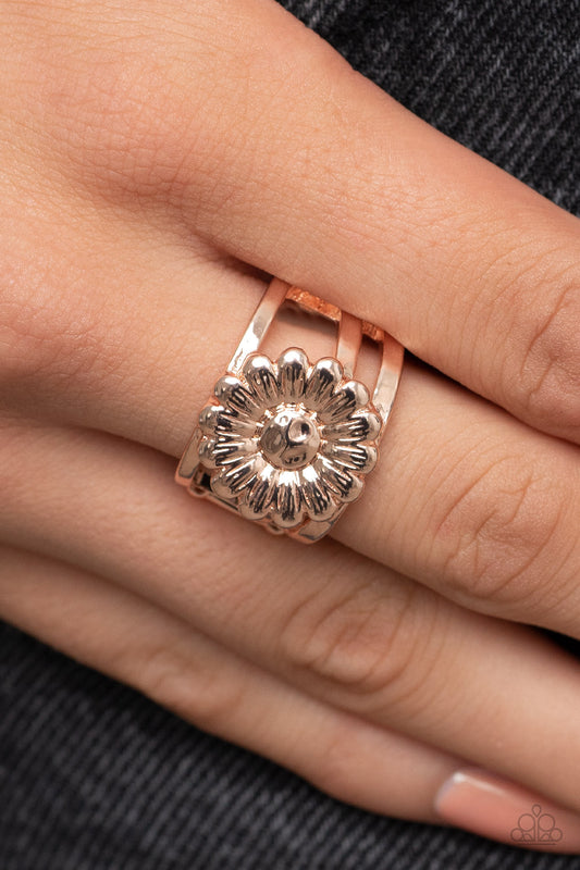 Roadside Daisies - Rose Gold Ring 0140