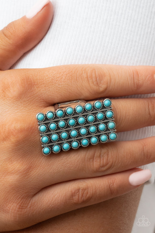 Pack Your SADDLEBAGS - Blue Ring 0092